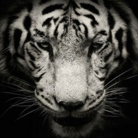 Владимир Иванов