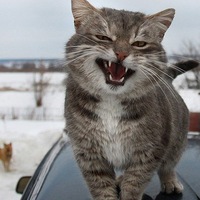 Максим Кузнецов 1