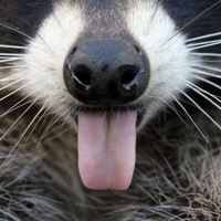 Александр Попов