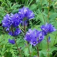 Ольга Тихоньких