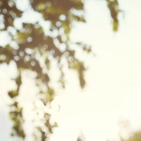 Ксения Григорьева