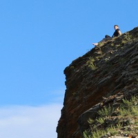 Андрей Репников