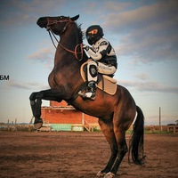 Андрей Лелеко