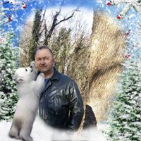 Красимир Николов