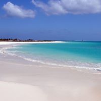 Алексей Колесов