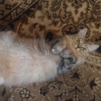 Павел Белов 1