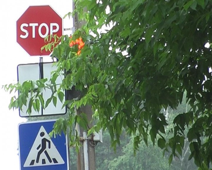 Заросший участок улицы имени Н. Крупской