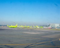 зеленая полянка в Домодедово