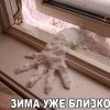 ..зима уже близко)