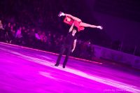 ЗолотойЛёд-120